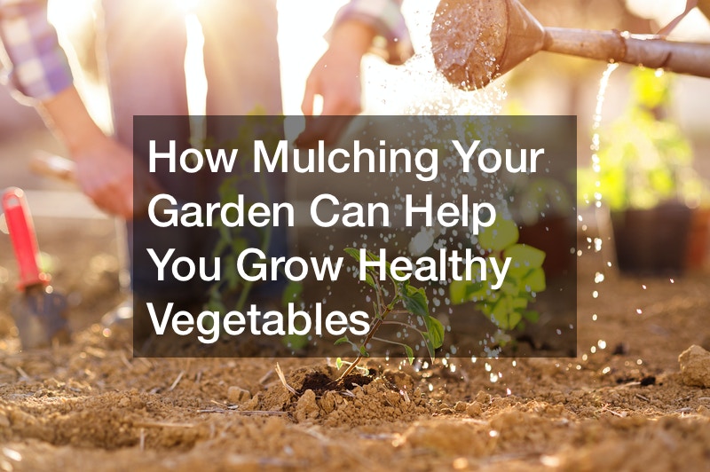 How Mulching Your Garden Can Help You Grow Healthy Vegetables Greg's