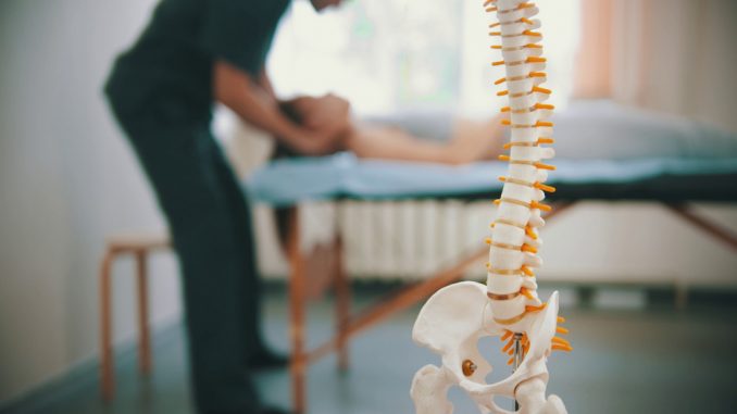 chiropractor chiropractor